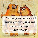 ���� ����, ��������, 62 ���� - ��������� 17 ������ 2016 � ������ ���� ����������