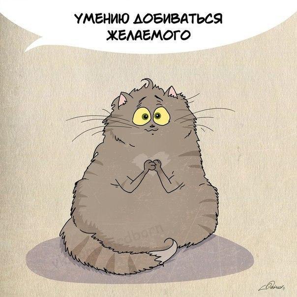      : - 7
