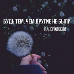 ���� �����, ������ - ��������� 8 �������� 2016