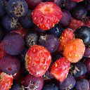 ���� Alex, ������� - ��������� 26 ���� 2016 � ������ ������ ��������