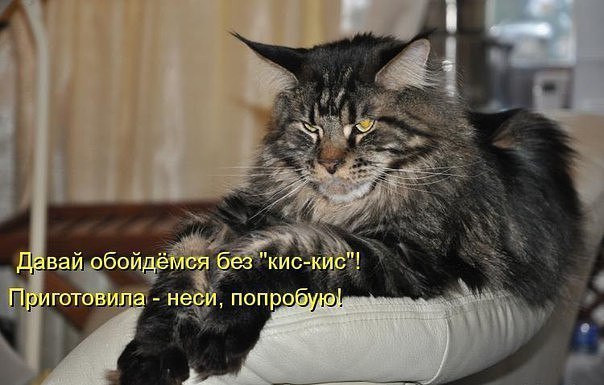  -  - 18  2016  14:21