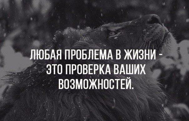   - 4  2016  23:09
