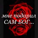 ���� ������, �������, 75 ��� - ��������� 11 ��� 2016 � ������ ������ ��������
