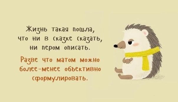    - 19  2016  20:28