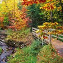  Olga, , 57  -  1  2016    