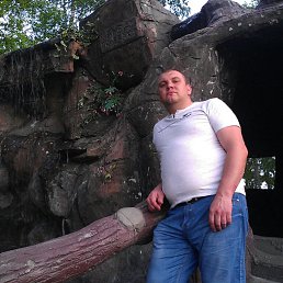 ���� ���������, ���������, 42 ���� - ��������� 11 ���� 2016