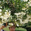 ���� ��������, ������, 59 ��� - ��������� 18 ������ 2016 � ������ ���� ����������