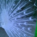 ���� Nathalie, �����-����� - ��������� 1 ������ 2016 � ������ ������ ��������