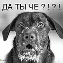 ���� �����, ����������, 62 ���� - ��������� 15 ���� 2016 � ������ ���� ����������