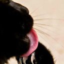 ���� �����, ����������, 62 ���� - ��������� 16 ��� 2016 � ������ ���� ����������