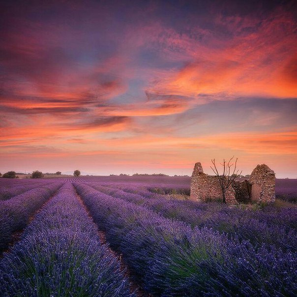 Provence, France - 4