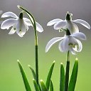 ���� ��������� ���������, ��������� - ��������� 16 ����� 2016 � ������ ���� ����������