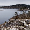 ���� ������, �����-���������, 49 ��� - ��������� 12 ������ 2016 � ������ ������ ��������