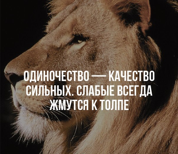   - 19  2016  19:05