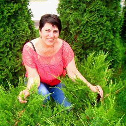 ���� ��������, ������, 63 ���� - ��������� 7 ���� 2016