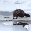���� ������, ������ - ��������� 23 ���� 2016 � ������ �Foto.ru�