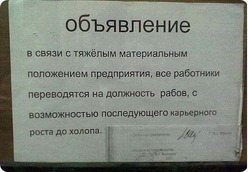  - ,  - 17  2016  10:23