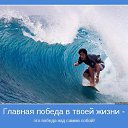  , , 33  -  31  2016    