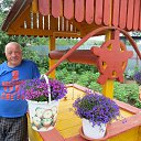 ���� ������, ����������, 81 ��� - ��������� 28 ������ 2016 � ������ ������ ��������