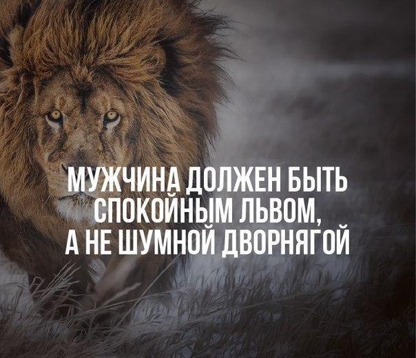 .https://fotostrana.ru/away?to=/sl/kxC2 - 28  2016  16:06