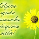 ���� �������, ����, 53 ���� - ��������� 3 ������ 2016 � ������ �������� ��������