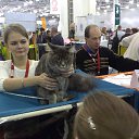  , , 35  -  12  2016   Moscow December 2013
