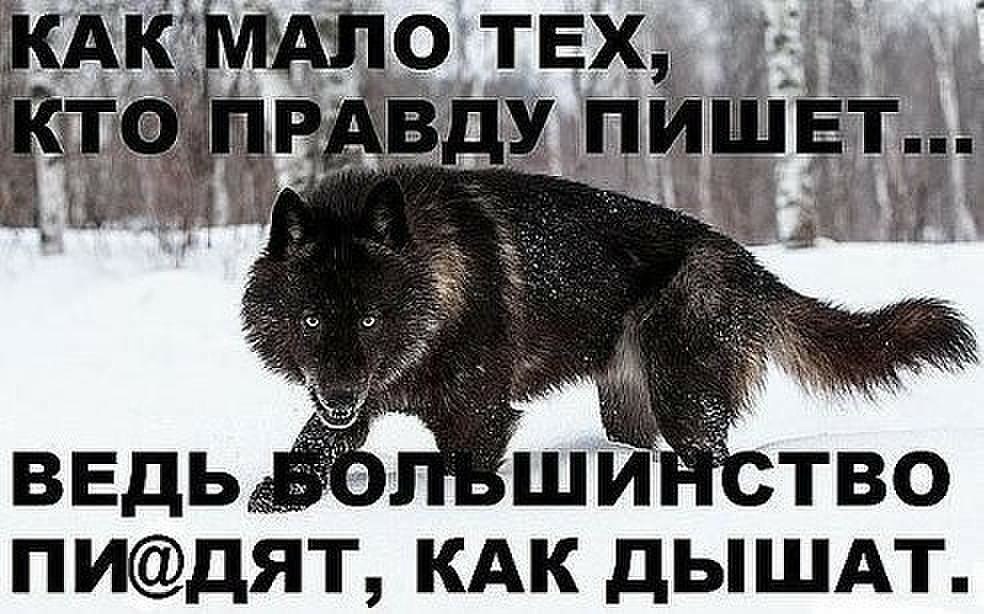  - 13  2016  00:07