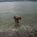 ���� �����, ������������, 49 ��� - ��������� 18 ������ 2016 � ������ ������� �����