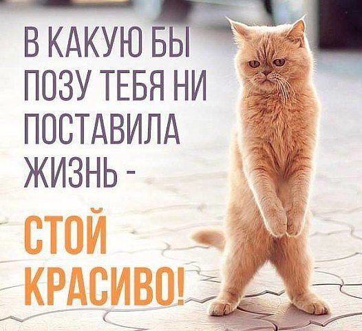 *)))