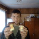  , -, 53  -  29  2016