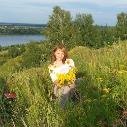 �����, ������, 54 ����