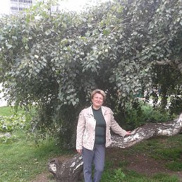 �����, �����������, 56 ���