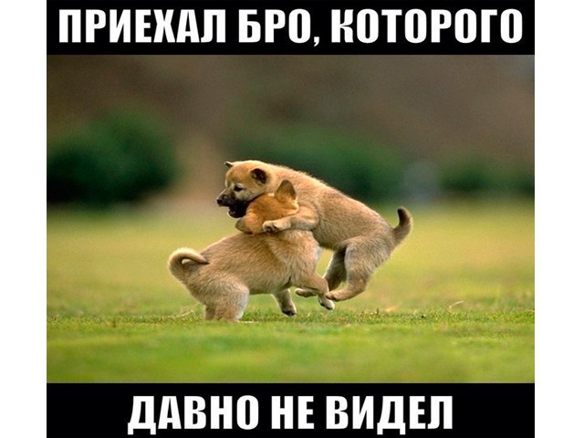 ? ,  ! - 20  2016  14:24