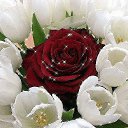 ���� Adam, ������, 58 ��� - ��������� 7 ������� 2016 � ������ ����� 2016�