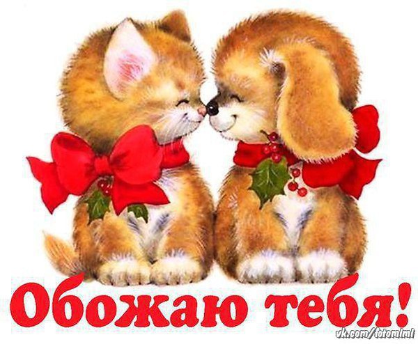 Очень сложно описать словами Нежность... Это то, что невозможно передать... Это – Чувства переходят ...