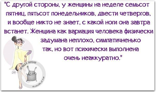   - 12  2016  06:13