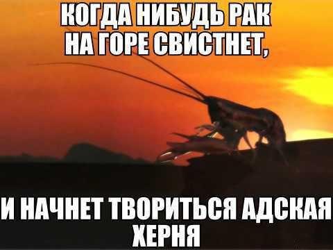  - 30  2016  17:05