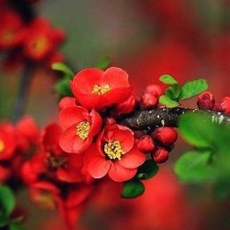 ����, ������, 30 ���