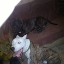 ���� ��������, ����� - ��������� 18 ���� 2016 � ������ ���� ����������