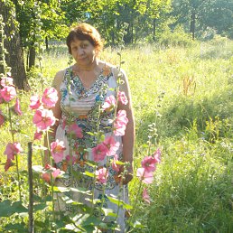 ������, �����, 78 ���