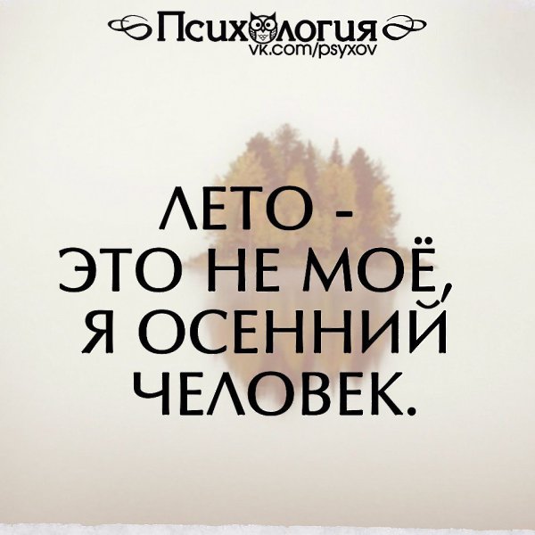  - 1  2016  06:03