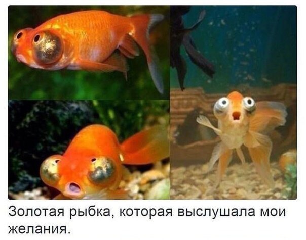    :-) - 29  2016  03:29