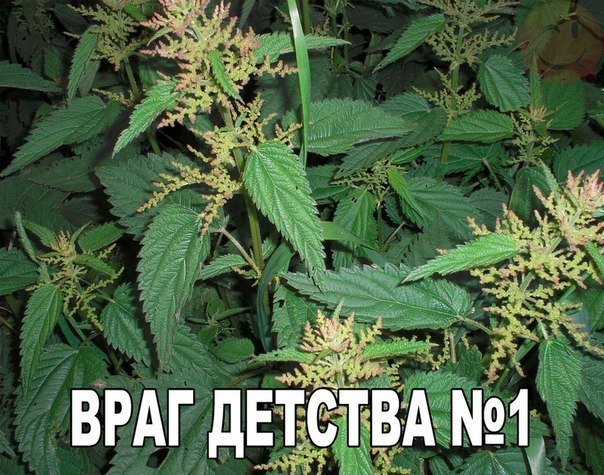    :D - 21  2016  00:36