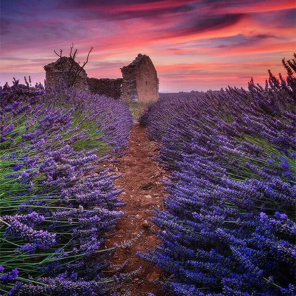 Provence, France - 2