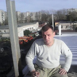 ˸, 41 , 