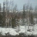 ���� ����������, �����, 61 ��� - ��������� 8 ��� 2016 � ������ ���� ����������