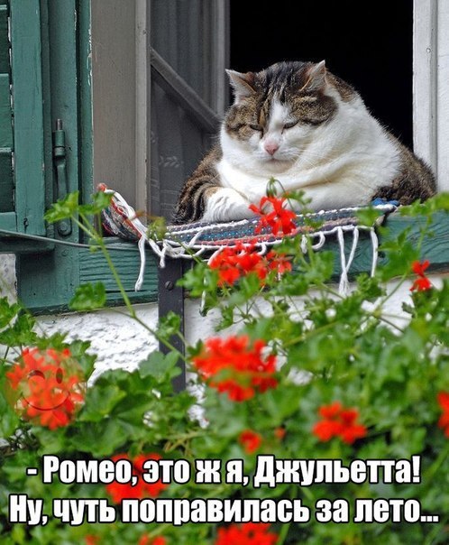    :D - 26  2016  11:03