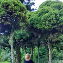 ���� ��������, �������, 66 ��� - ��������� 14 ���� 2016 � ������ �������