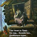  , , 50  -  3  2016    