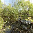 �������� �� ������� ���� �� ������� ������� 2016�